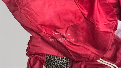 11th Gate - Single (Digital)